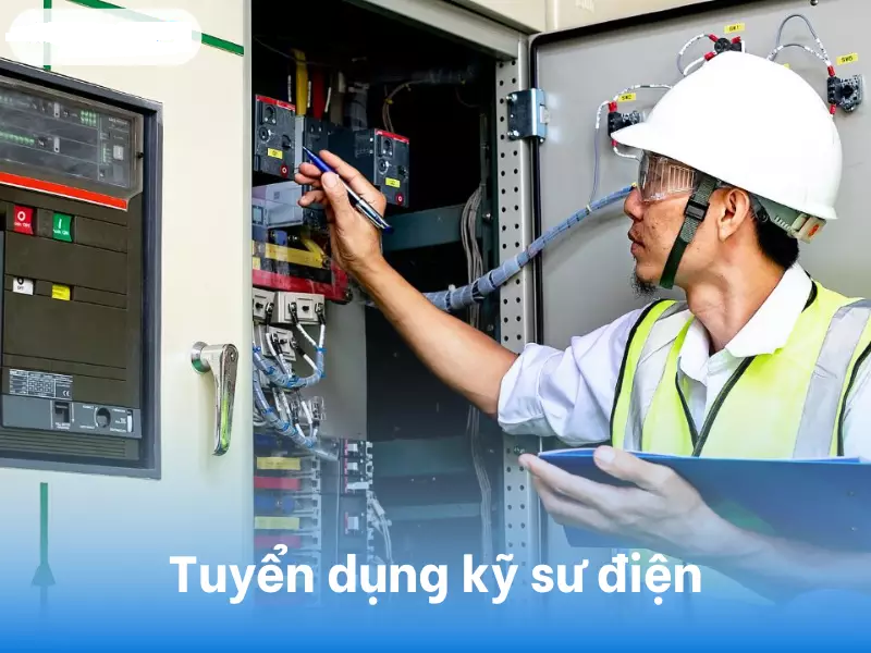 lĩnh vực hoạt động